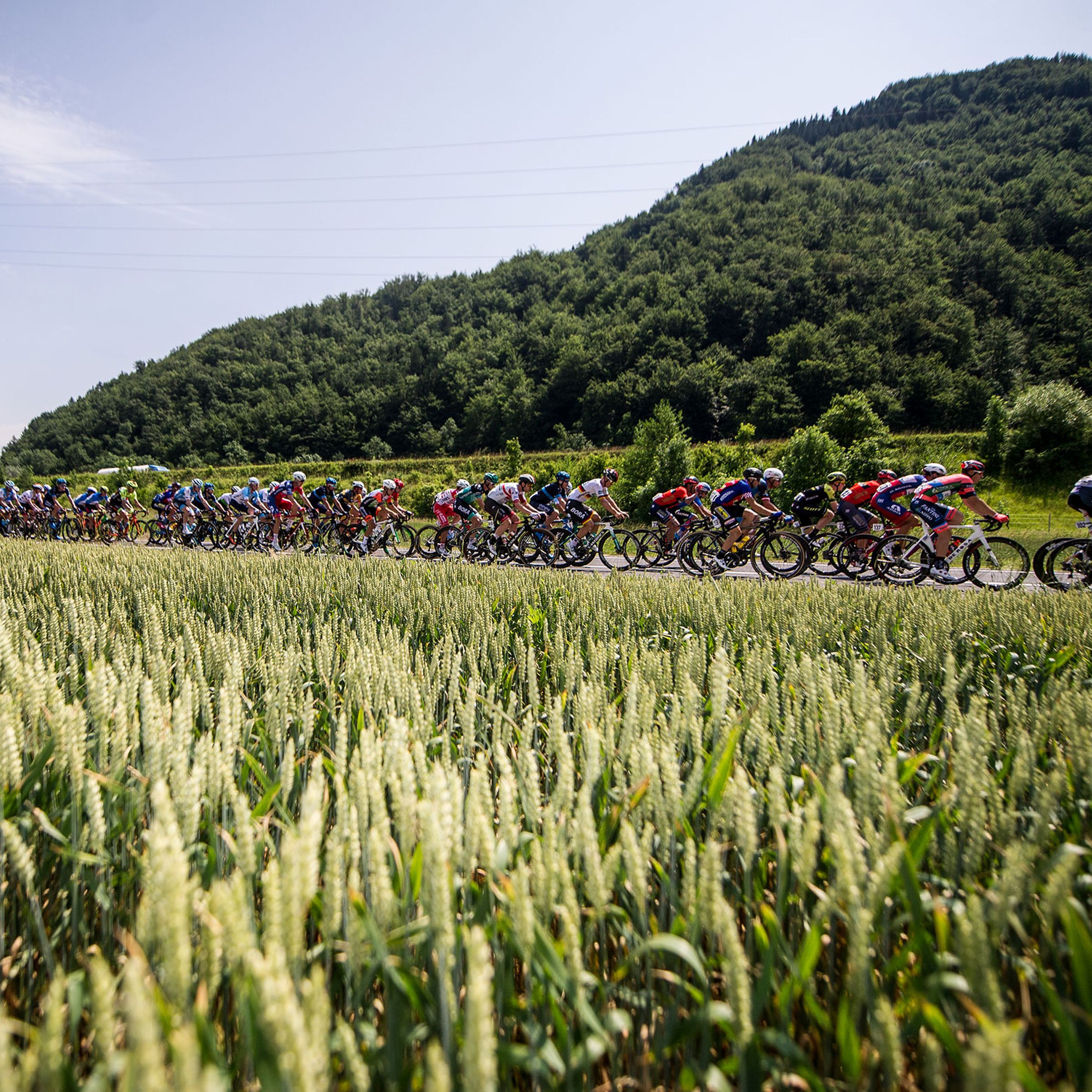 Odpovedana je tudi letošnja dirka Po Sloveniji